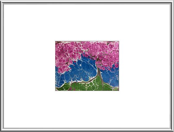 Sakura in the evening
