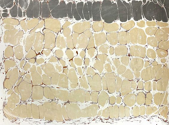 Pared de piedras