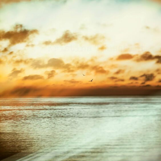 Sunset mood