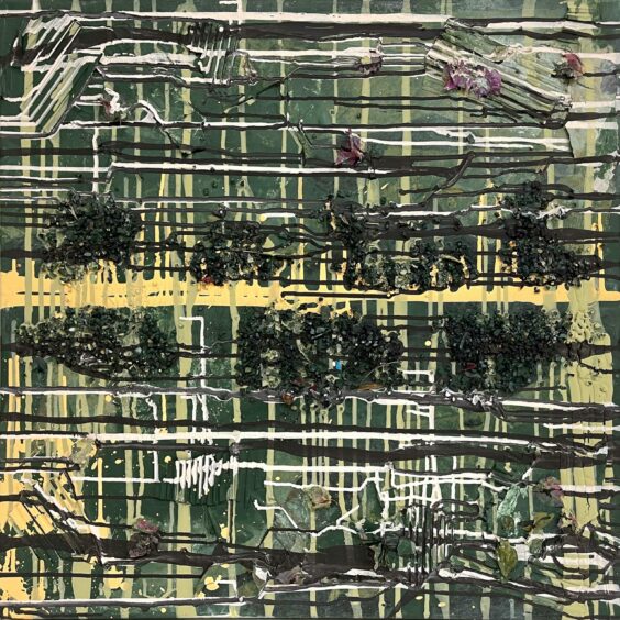 Where the grass is green