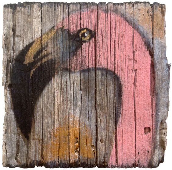 Sunrise Flamingo V