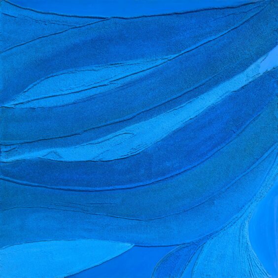 Blue lavue
