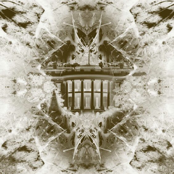 Skull & bones