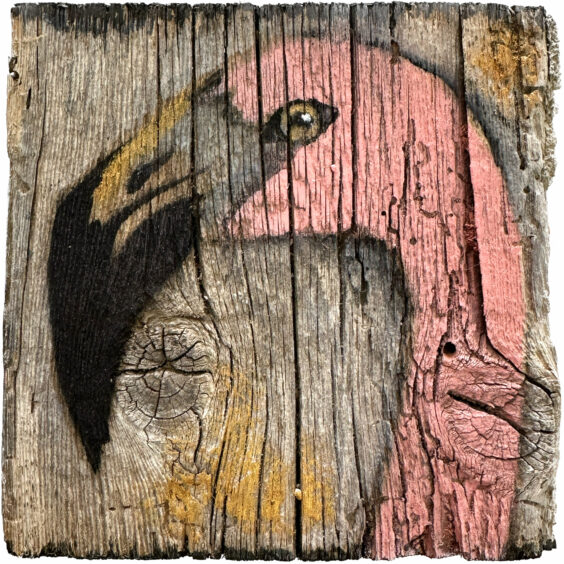 Sunrise Flamingo IV
