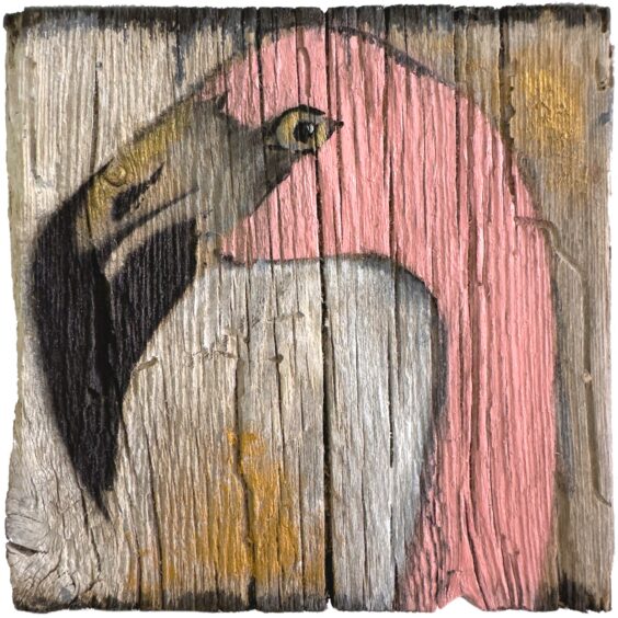 Sunrise Flamingo I