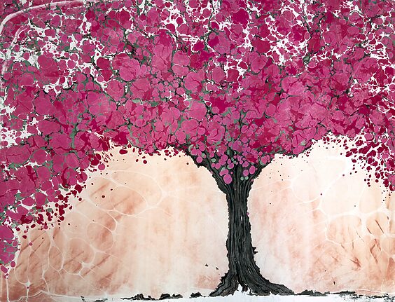 Bougainvillea