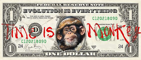 Time is monkey