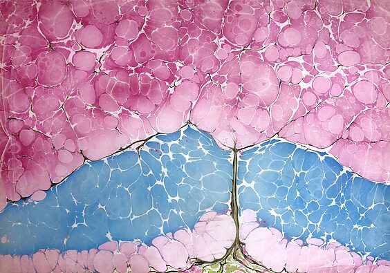 Full Blossom Sakura